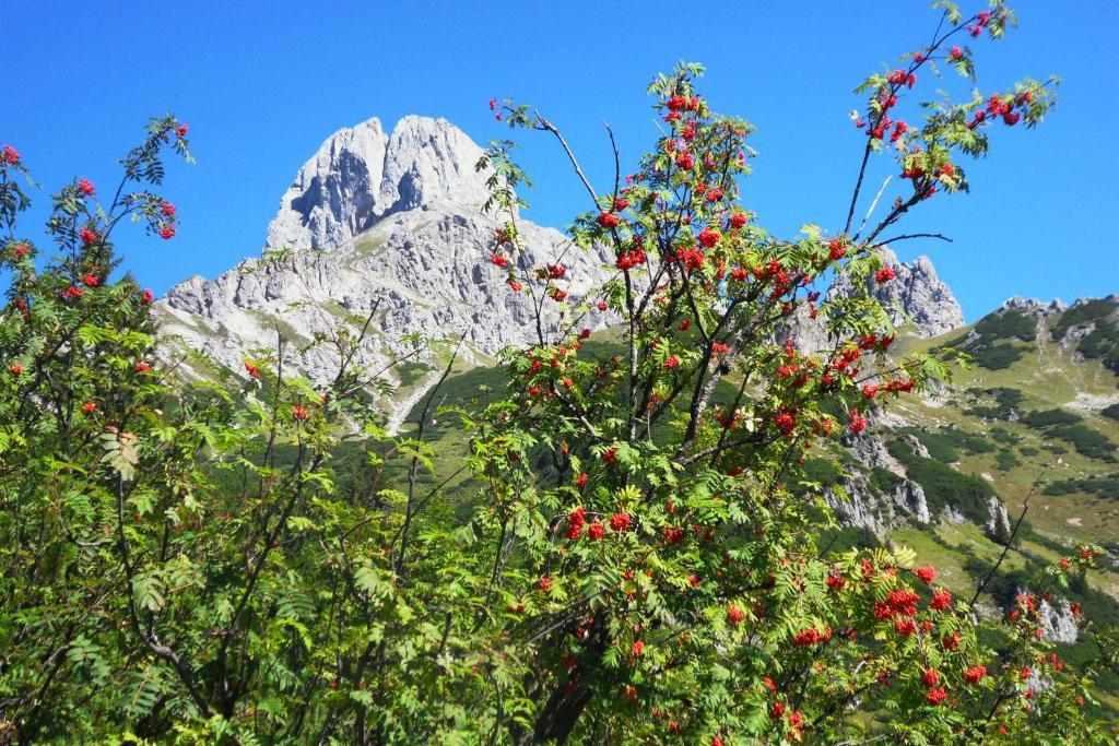 Ferienhaus Abendstille Ramsau am Dachstein Bilik gambar